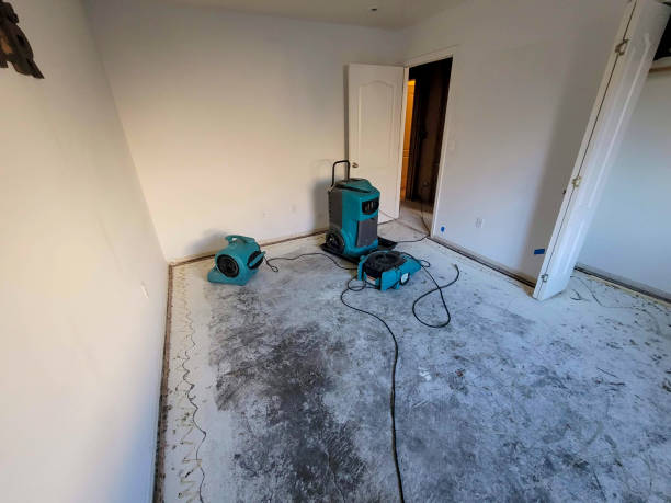 Best Water damage restoration specialists  in Henning, TN