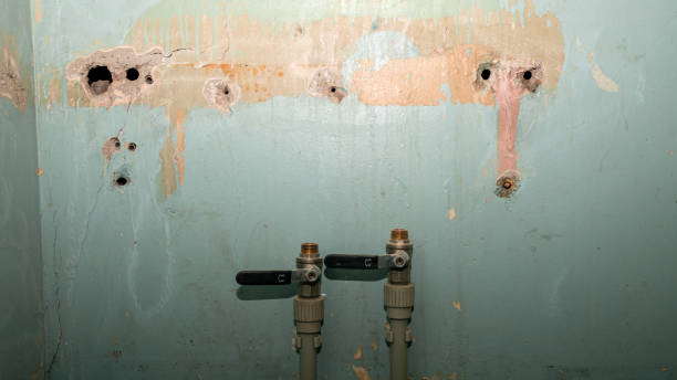 Best Water damage cleanup near me  in Henning, TN